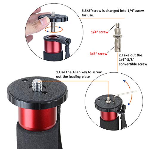 Avella C325 58 Inch Carbon Fiber Camera Monopod Professional Telescopic