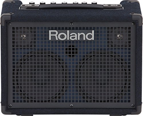 Roland KC-220 Battery Powered Stereo Keyboard Amplifier