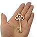 Makhry 50pcs Wedding Favors Skeleton Key Bottle Openers Wedding Guest Gifts For Wedding Party Favors Bridal Baby Shower Anniversary Graduation Party (Rose Gold)