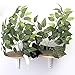 On2Pets Cat Furniture Canopy Shelves for Climbing, Playing and Relaxing, Set of 2thumb 2