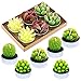 Glarks Cute Tea Lights Tealight Candles, Succulent Cactus for Birthday Party Valentine's Day Wedding Spa Home Decor and DIY Gift, 12Pcs a Pack