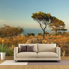 Spain Beach - Removable Wall Mural | Self-Adhesive Large Wallpaper - 66x96 inches