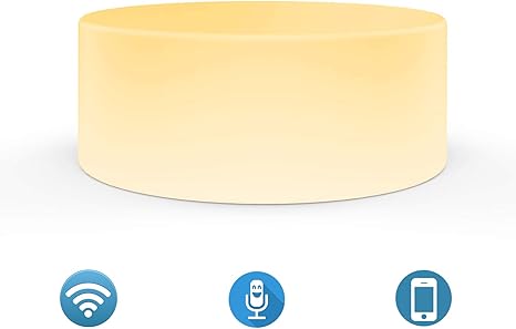 smart table lamp google home