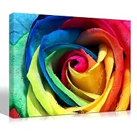 Mon Art Colorful Rose Print on Canvas Wall Art Rainbow Mixed Colors Roses Painting Multicolor Flower Picture Walls Decoration Floral Pictures Paintings Home Decor Framed Artwork 12x16 inch 1 Panel Set