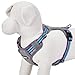 Blueberry Pet Soft & Comfy 3M Reflective Dog Harness Vest | Mesh Padded No Pull Dog Harness w/Back Clips | Multi-Colored Stripe - Violet and River Blue | Reflective Dog Harness for Large Dogs