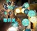 Dealbeta Battery Handmade Rattan Ball String Lights 20 Warm White LED Christmas Indoor String Fairy Lights for Bedroom, Wedding, Party [ Rattan Ball's Diameter:5cm/2.04 in ] -- Lake Green