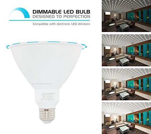 SLI Lighting PAR38 LED Flood Light - Dimmable PAR38 LED Bulbs - 15W - 90W Equivalency - 25,000Hr Lifetime - Energy Star Rated -3000K - 2 Pack