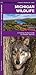Michigan Wildlife: A Folding Pocket Guide to Familiar Animals (Nature Observation North America)