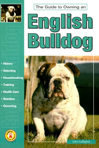owning an english bulldog