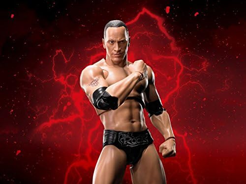 sh figuarts the rock