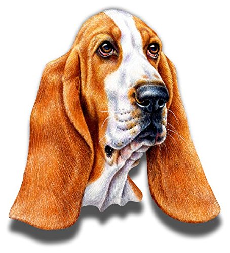 Basset Hound Face Sticker Vinyl Decal for Auto Cars Trucks Windshield or Laptop