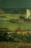 Lust for Life, a Novel of Vincent Van Gogh