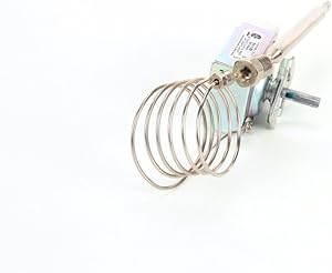 Anets 60125401 Thermostat