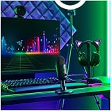 Razer Seiren V2 X USB Microphone for Streamers 25mm Condenser Supercardioid view 2