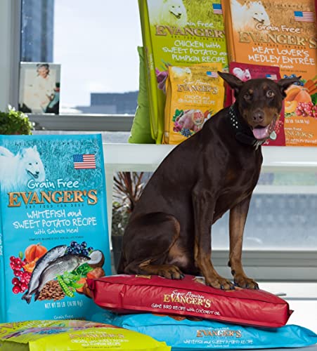 EVANGER’S SUPER GAMEBIRD RECIPE WITH COCONUT OIL DRY DOG FOOD – 4.4 LB BAG – HYPOALLERGENIC DUCK & TURKEY FORMULA – GRAIN-FREE, SUPPORTS DIGESTIVE & COAT HEALTH