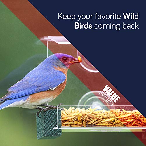 Value Grubs 4 lbs Better Than Dried Mealworms for Chickens NonGMO 75X More Calcium Than