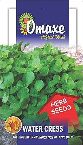 Tradico Water Cress Imported 50 Seeds by OMAXE
