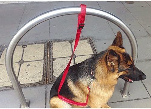 Canny Connect Dog Training Lead (0.9in x 47.2in) (Purple)