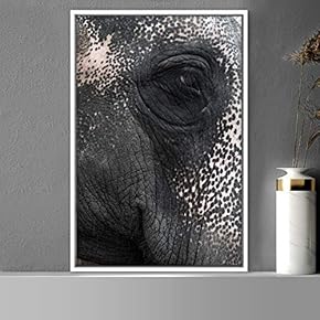 signwin Framed Canvas Wall Art Elephants Animals Dramatic...