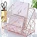 Simmer Stone Rose Gold Mail Organizer, Plated Wire Metal Wall Mountable Multifunction Storage Rack, Organizer for Mails Books Files Brochures Postcards Makeups and More, 2 Slot, Size 9.8
