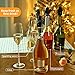 Premium Champagne stoppers,Champagne Bottle stoppers,Champagne Saver for Sparkling Wine Stopper with Built-in Pressure Pump and Wing Lock, Keep bubble with 168H !
