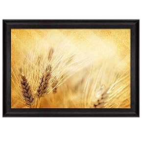 Gold Wheat Field Over an Illuminating Gold Background...