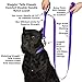 Wagtime Club Double Handle Dog Leash, 6ft Long Heavy Duty Dog Leash with Paded Traffic Handles for Extral Control and Training, Dual Handles Leads, Large Medium Small Dogs (Vibrant Purple)
