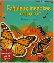 Fabuleux insectes en pop-up