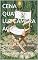 Livro CENA QUATRO - LUZ CÂMERA AÇÃO: virando a banca da dívida (CENAS DO LIVRO LUZ CÂMERA AÇÃO - DIRIJA O FILME DA SUA VIDA FINANCEIRA 5)
