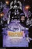 (22x34) Star Wars Episode V (Empire Strikes Back, Darth Vader) Movie Poster Print Poster Print, 24x36