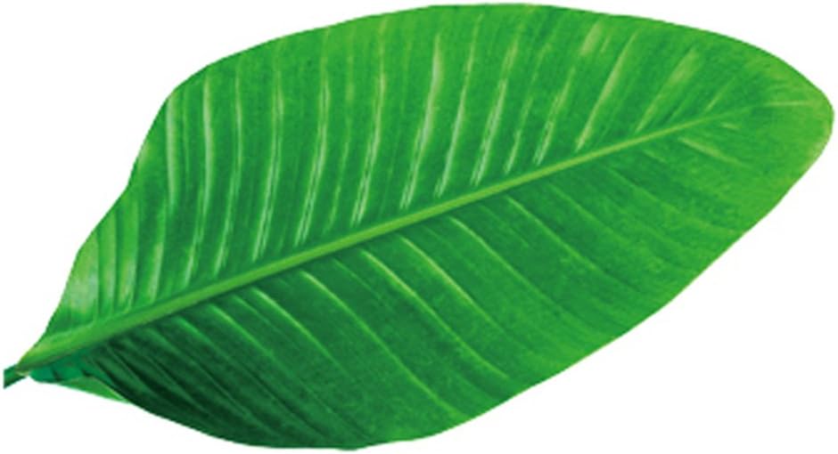 A.B Crew Personalized Leaf Shaped Flannel Blanket Office Nap Blanket(Phrynium Leaf)