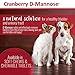 Cranberry D-Mannose Urinary Tract Supplement for Dogs & Cats – Bladder & UTI Health Support – Cranberry Extract, D-Mannose & Vitamin C–Promotes Urinary Wellness & Kidney Function – 60 Chewable Tablets