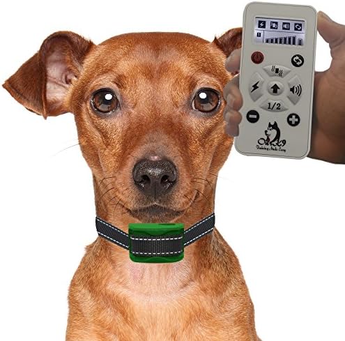 "BRAND NEW MODEL"- Our K9 "EMERALD"- VERY SMALL to SMALL DOGS - Remote Training Collar, Light, Sound, Vibration, Sonic - Pain Free - RECHARGEABLE - Waterproof - EFFECTIVE DOG TRAINING COLLAR