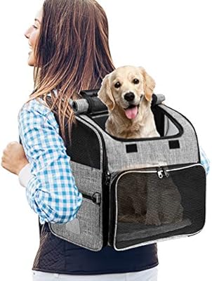 dog backpack for small dogs