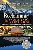 Reclaiming the Wild Soul: How Earth's Landscapes Restore Us to Wholeness