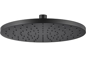 AONEON Rained Waterfall Shower Head 10-inch Large Overhead Showerhead High Flow 2.5 GPM with Adjustable Swivel Ball Joint, Ma