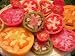 Heirloom Tomato Seed Assortment- 10 Varieties- Over 900 Seeds- Non GMO Heirloom Varieties