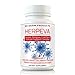 Herpeva Best Virus Shingles Cold Sores Anti Virus Supplements Clinical Strength Relief L-lysine Olive Leaf, Pancreatin, B12 Vitamin C, B-Complex, Prunella Vulgaris, Vitamin E, Echinacea
