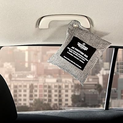 Activated Charcoal Bamboo Deodorizer, 4 Pack Odor Neutralizer, Home & Car Freshener Bags, Mold and Moisture Removal Charcoal Bags, Organic Chemical-Free Activated Bamboo Air Purifying Bags