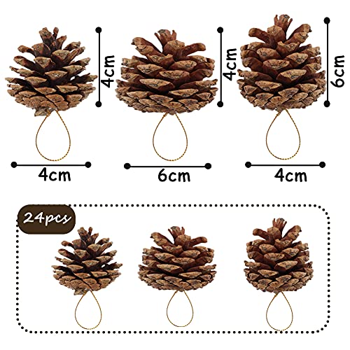 JOHOUSE 24PCS Big PineCones, Natural PineCones Package, PineCones Ornaments for Autumn and Winter Crafts Decorating, Christmas Decor, Bowl Vase Fillers
