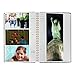 Spiral Bound Photo Album 300 Bi-Directional Memo Pockets Hold 4x6 Photos, Navy Blue