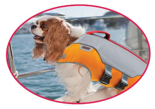 kong sport aquapro dog flotation vest