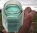 Citronella Scented Blended Soy Candle for Indoor Use by Just Makes Scents (Citronella)