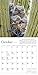 Audubon Little Owls 2019 Calendar