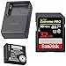 Panasonic Lumix Battery & Charger Pack w/SanDisk 32GB SD Card