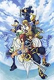Kingdom Hearts 2 3 Sora Organization XIII 13 Nice Silk Fabric Cloth Wall Poster Print (20x13inch)