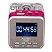 TOMTOP Mini Digital Portable Music MP3/4 Player Micro SD/TF USB Disk Speaker FM Radio (Rose)