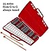 Xylophone 25 Note Chromatic Glockenspiel in a Red Plastic Case - Card Sets with 23 Letter-Coded Songs