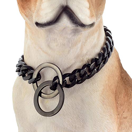 small dog chain collar