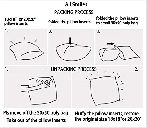 20x20 pillow insert 4 pack